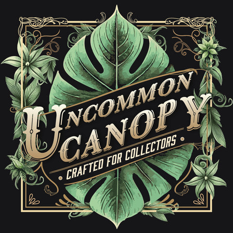 Philodendron White Knight - Uncommon Canopy